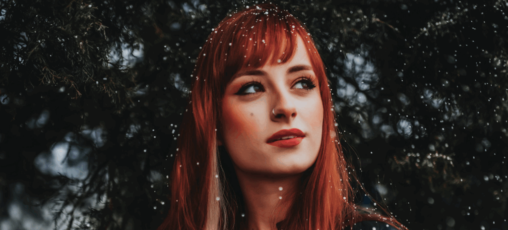 Winter Holiday Model